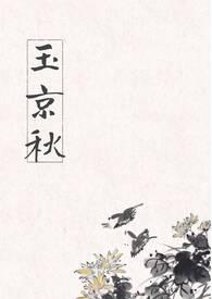 玉京秋漫剧