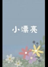 小漂亮简介