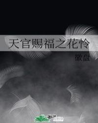 天官赐福之花怜徽盘TXT
