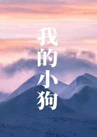 我的小狗200
