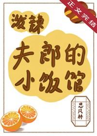 泼辣夫郎的小饭馆by思林风