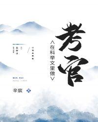 科举文里做考官 辛宸