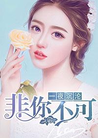 一夜沉婚全文免费