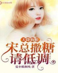 天降戒指主人公宋砚