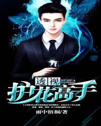 透视高手番外2