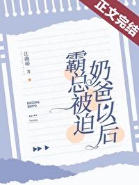霸道之奶爸总裁视频