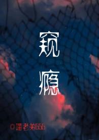 窥伺全文阅读