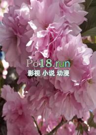 the sex master hp调教课