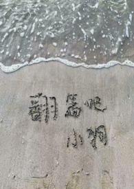 金主爸爸们也需要竞聘上床 作者小浪在流浪