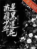 苗疆少年是黑莲花作者君子生