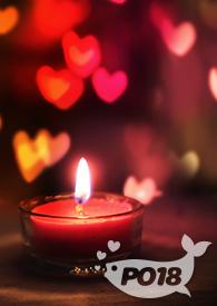 书名痴迷的爱