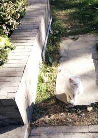 媚欢by乔亦暖笔趣阁