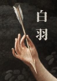 主角白羽是什么