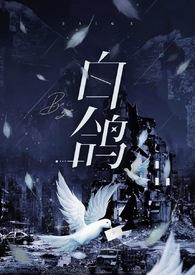 白鸽强制躺平的仙女