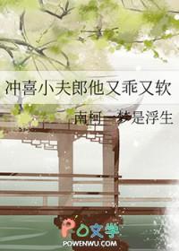 冲喜小夫郎 作者春汉