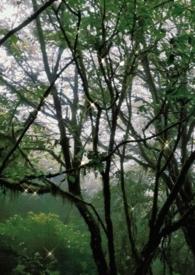 关于某古早校园文中的你h