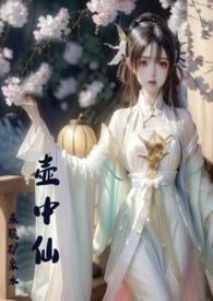 壶中仙枕上言百度