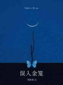 误入金笼讲了什么