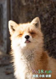 睡了反派之后世界八