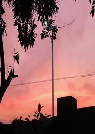 乖宠完整版阅读