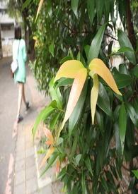 一起同居吧韩剧在线观看