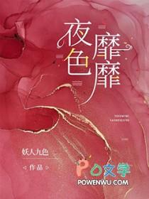 夜色的意思是什么