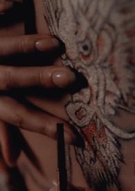 缠绵全文免费阅读无弹屏