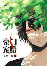 豪门宠婚长戈一画