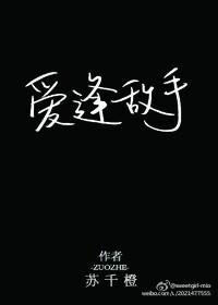 爱逢对手连续剧全集主演