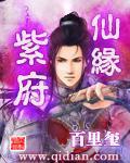 紫府仙缘如何