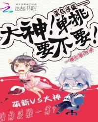 菜鸟vs大神vs