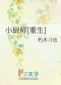 小厨师的穿越之旅