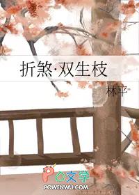 折煞双生枝讲的什么