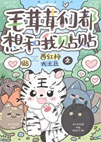 毛茸茸能有什么坏心思混元三喜