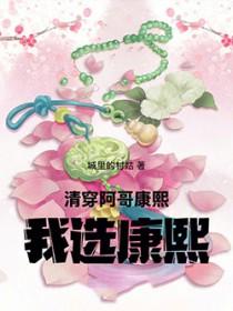 清穿病弱阿哥为康熙
