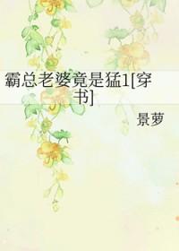 霸总疼老婆