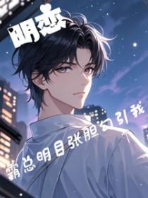 明道霸道总裁电视剧叫