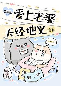 爱上老婆天经地义穿书免费阅读