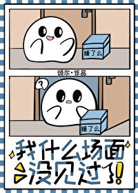 我见过什么什么没见过你