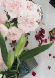 金点子作品图片和简介