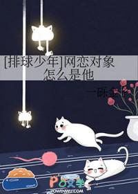 排球少年热门cp