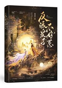 反派皇子走着瞧免费