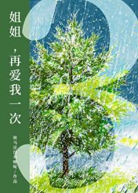 姐姐请再爱我一次翻译