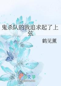 鬼灭之刃鬼杀队队员