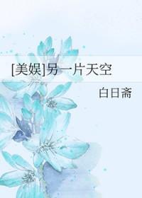 另一片天空绘本