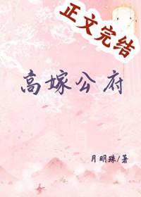 高嫁公府笔趣阁无删减完整