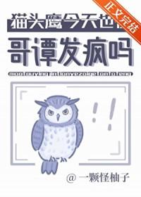 猫头鹰disc