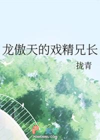 龙傲天cp名