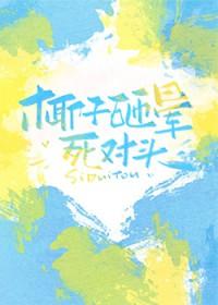 被椰子砸到头会怎样