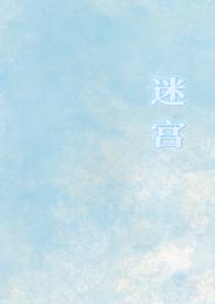 迷宫阵
